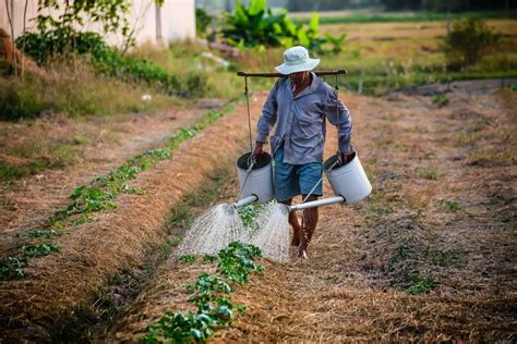 Garotos de Programa em Juazeiro do Norte